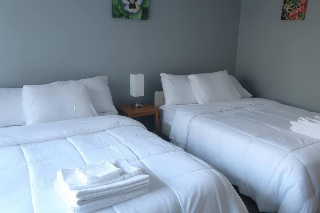 Cozy Condo For 6 Near Shands & Uf Campus Gainesville Dış mekan fotoğraf